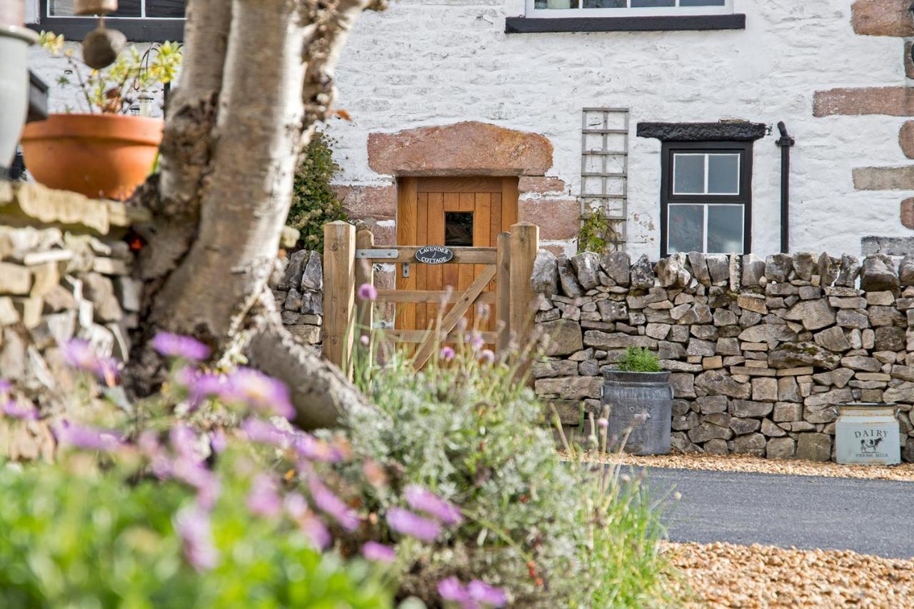Hawthorn Farm Guest House Μπάξτον Εξωτερικό φωτογραφία
